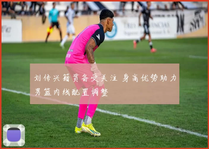 刘传兴籍贯备受关注 身高优势助力男篮内线配置调整